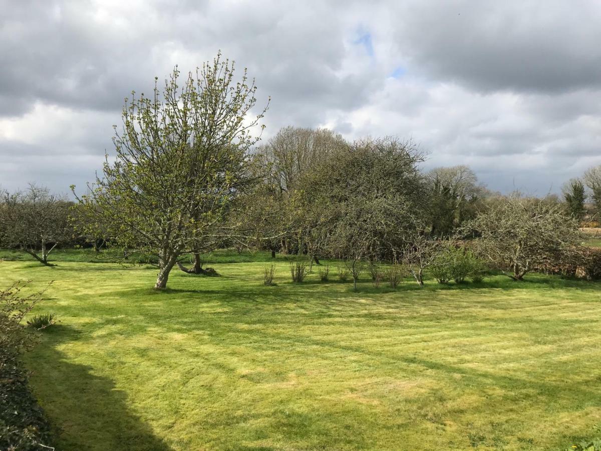 Corrib View Farmhouse Galway Dış mekan fotoğraf